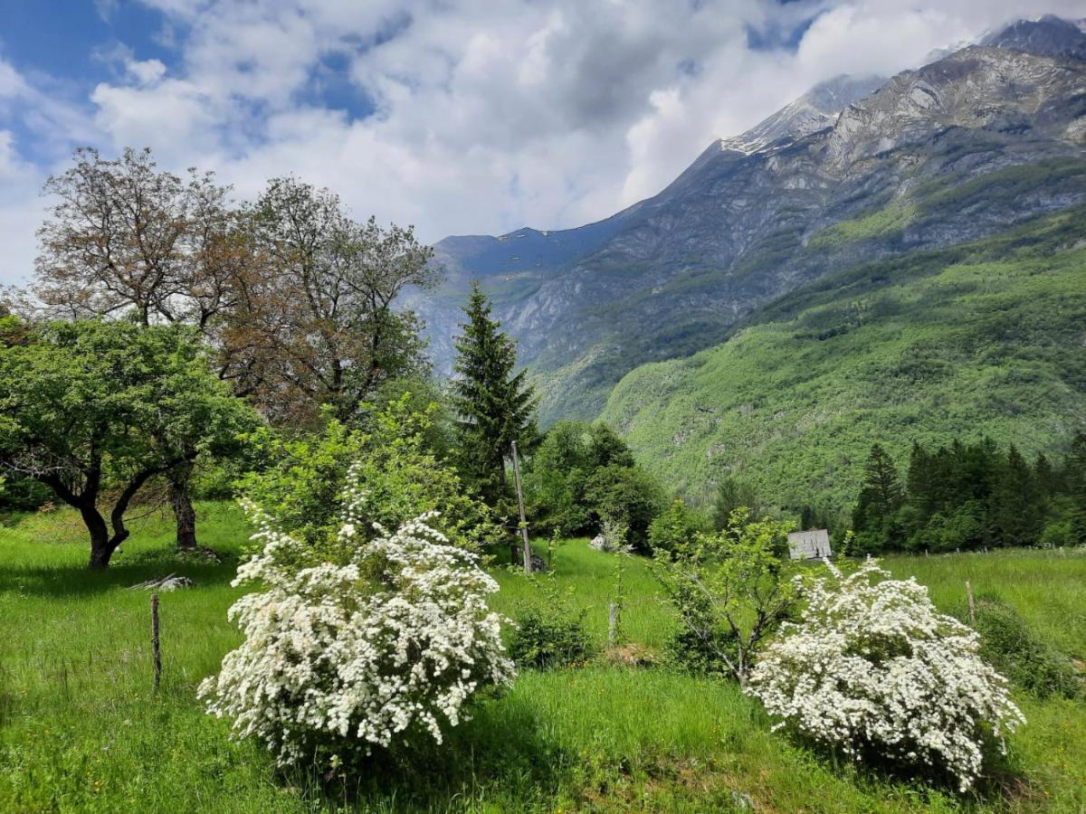 Pocitnisko Stanovanje Planja Soča المظهر الخارجي الصورة